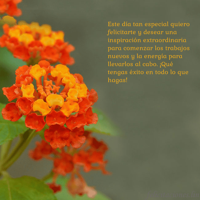 Tarjeta de cumpleaños con flores naranjas Este día tan especial quiero felicitarte y desear Tarjeta de cumpleaños con flores naranjas