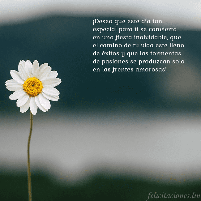 Tarjeta electrónica con margarita ¡Deseo que este día tan especial para ti se convie Tarjeta electrónica con margarita