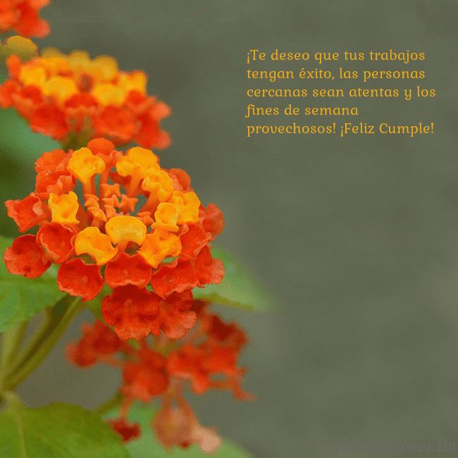 Tarjeta de cumpleaños con flores naranjas ¡Te deseo que tus trabajos tengan éxito, las perso Tarjeta de cumpleaños con flores naranjas