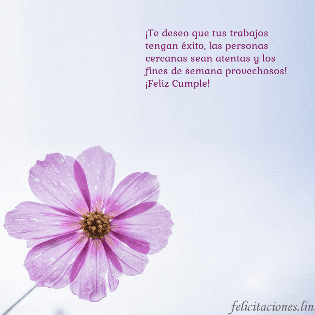 Tarjeta electrónica con flor morada ¡Te deseo que tus trabajos tengan éxito, las perso Tarjeta electrónica con flor morada
