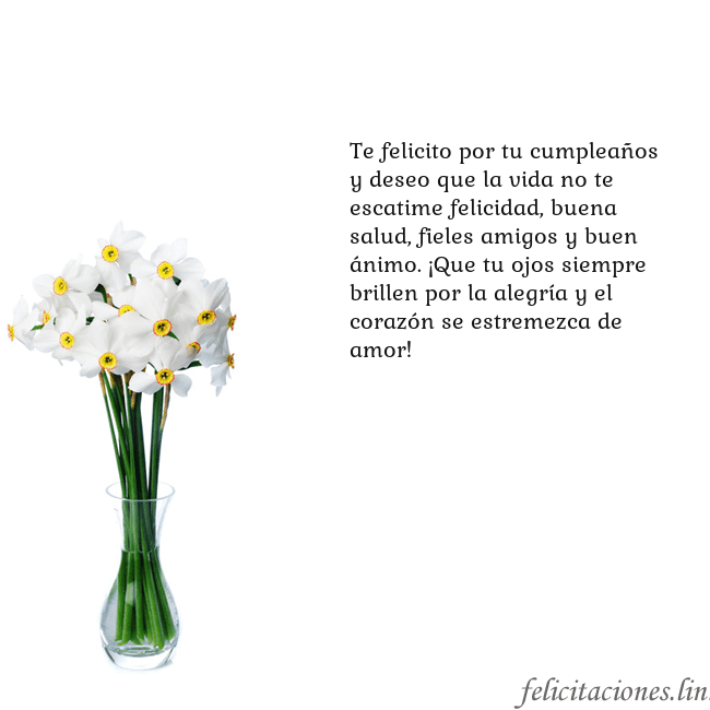 Tarjeta con narcisos Te felicito por tu cumpleaños y deseo que la vida Tarjeta con narcisos