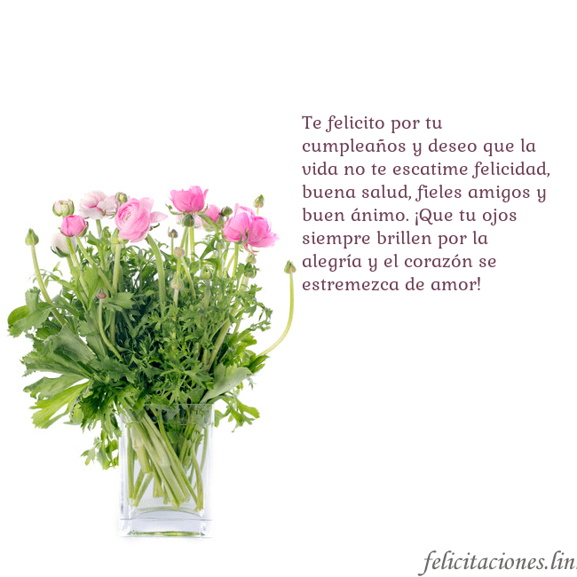 Tarjeta con flores en un jarrón Te felicito por tu cumpleaños y deseo que la vida Tarjeta con flores en un jarrón