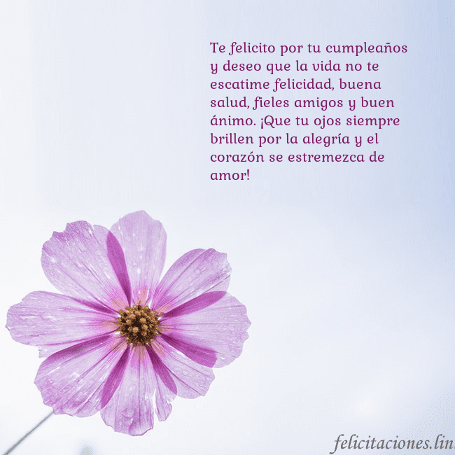 Tarjeta electrónica con flor morada Te felicito por tu cumpleaños y deseo que la vida Tarjeta electrónica con flor morada