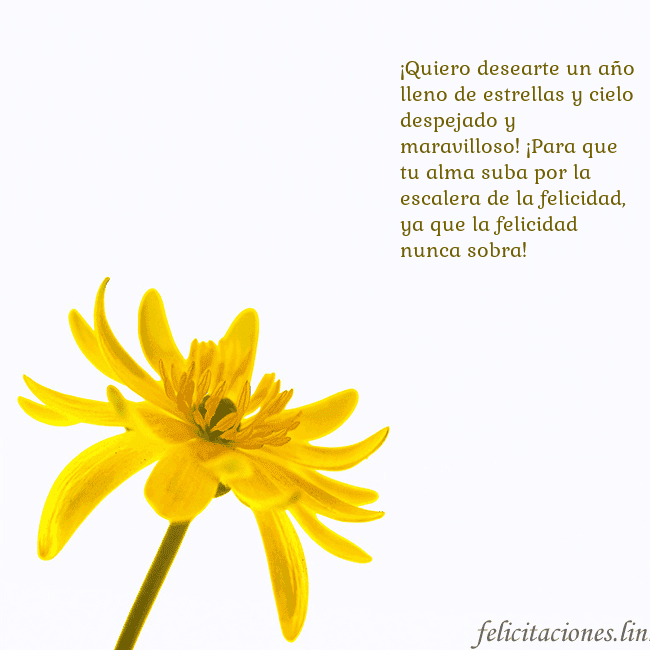Tarjeta de cumpleaños con flor amarilla ¡Quiero desearte un año lleno de estrellas y cielo Tarjeta de cumpleaños con flor amarilla