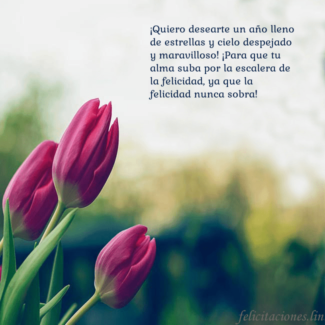 Tarjeta de cumpleaños con tres tulipanes rojos ¡Quiero desearte un año lleno de estrellas y cielo Tarjeta de cumpleaños con tres tulipanes rojos
