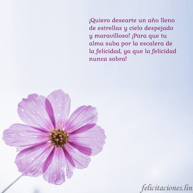 Tarjeta electrónica con flor morada ¡Quiero desearte un año lleno de estrellas y cielo Tarjeta electrónica con flor morada