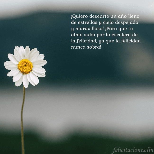 Tarjeta electrónica con margarita ¡Quiero desearte un año lleno de estrellas y cielo Tarjeta electrónica con margarita
