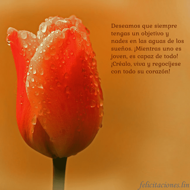 Tarjeta de cumpleaños con tulipán rojo Deseamos que siempre tengas un objetivo y nades en Tarjeta de cumpleaños con tulipán rojo