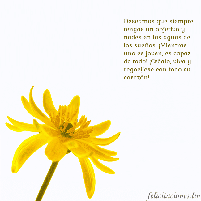 Tarjeta de cumpleaños con flor amarilla Deseamos que siempre tengas un objetivo y nades en Tarjeta de cumpleaños con flor amarilla