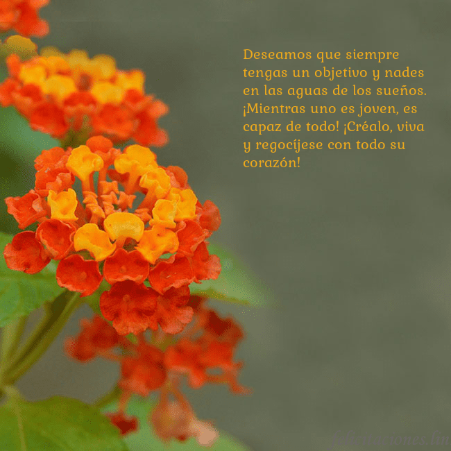 Tarjeta de cumpleaños con flores naranjas Deseamos que siempre tengas un objetivo y nades en Tarjeta de cumpleaños con flores naranjas