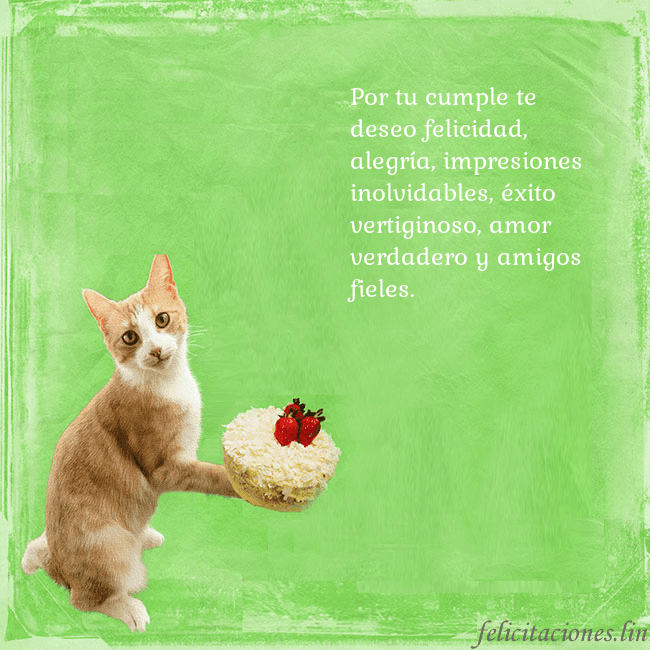 Tarjeta de cumpleaños con gato y pastel de cumpleaños Por tu cumple te deseo felicidad, alegría, impresi Tarjeta de cumpleaños con gato y pastel de cumpleaños