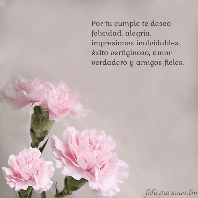 Tarjeta de cumpleaños con claveles rosas Por tu cumple te deseo felicidad, alegría, impresi Tarjeta de cumpleaños con claveles rosas