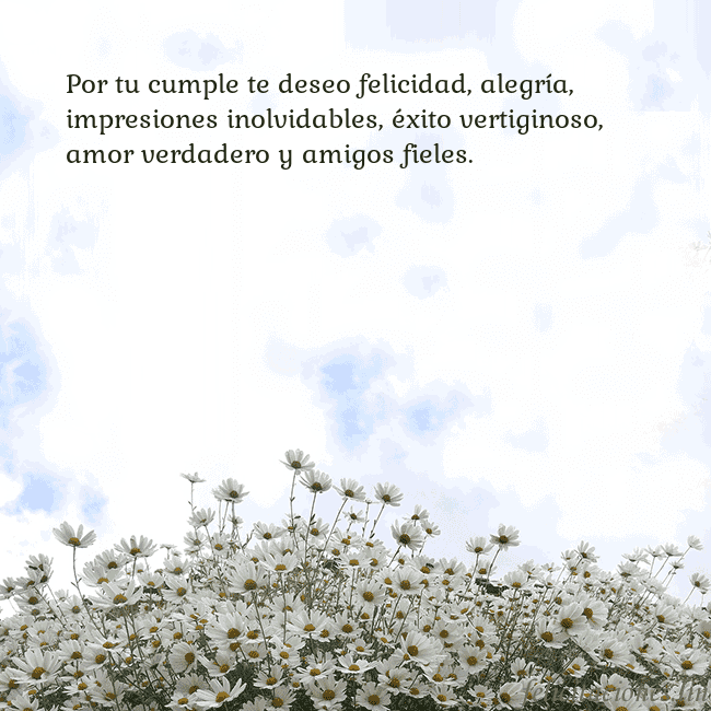 Tarjeta de cumpleaños con margaritas Por tu cumple te deseo felicidad, alegría, impresi Tarjeta de cumpleaños con margaritas