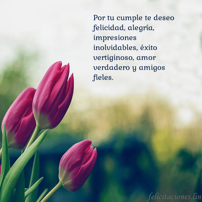 Tarjeta de cumpleaños con tres tulipanes rojos Por tu cumple te deseo felicidad, alegría, impresi Tarjeta de cumpleaños con tres tulipanes rojos