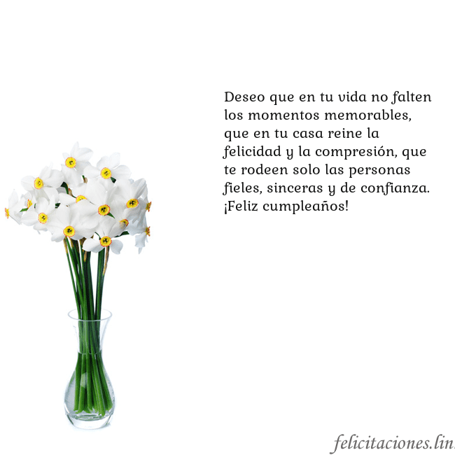 Tarjeta con narcisos Deseo que en tu vida no falten los momentos memora Tarjeta con narcisos