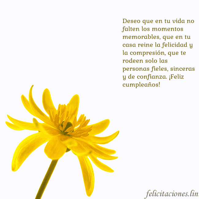 Tarjeta de cumpleaños con flor amarilla Deseo que en tu vida no falten los momentos memora Tarjeta de cumpleaños con flor amarilla