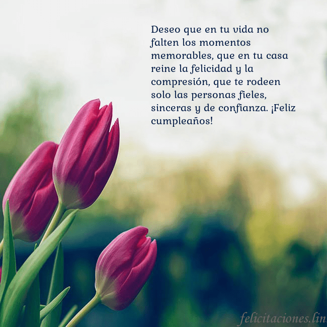 Tarjeta de cumpleaños con tres tulipanes rojos Deseo que en tu vida no falten los momentos memora Tarjeta de cumpleaños con tres tulipanes rojos