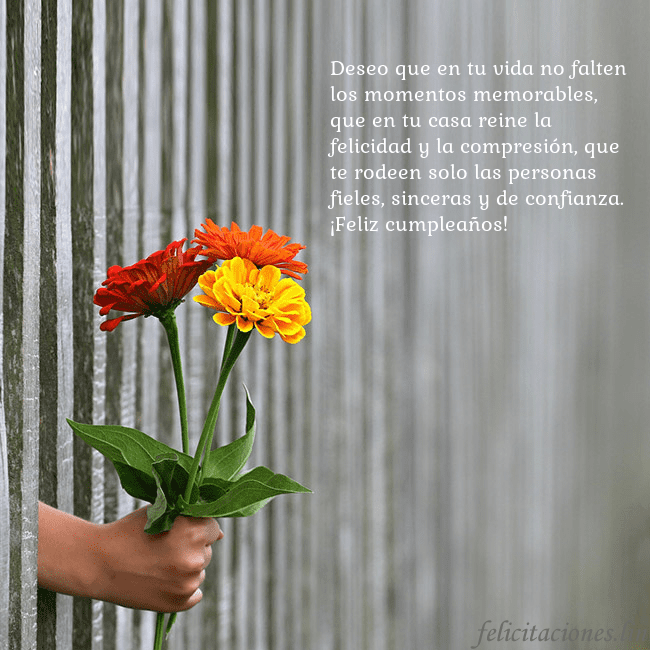 Tarjeta electrónica con ramo de flores Deseo que en tu vida no falten los momentos memora Tarjeta electrónica con ramo de flores