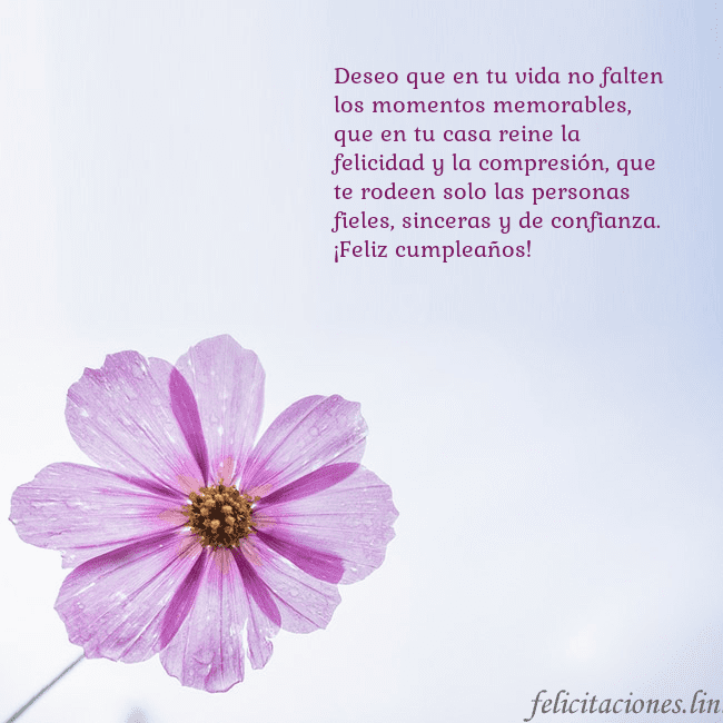 Tarjeta electrónica con flor morada Deseo que en tu vida no falten los momentos memora Tarjeta electrónica con flor morada