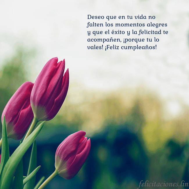 Tarjeta de cumpleaños con tres tulipanes rojos Deseo que en tu vida no falten los momentos alegre Tarjeta de cumpleaños con tres tulipanes rojos