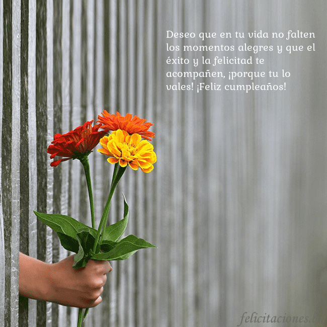 Tarjeta electrónica con ramo de flores Deseo que en tu vida no falten los momentos alegre Tarjeta electrónica con ramo de flores