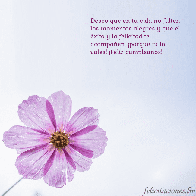 Tarjeta electrónica con flor morada Deseo que en tu vida no falten los momentos alegre Tarjeta electrónica con flor morada
