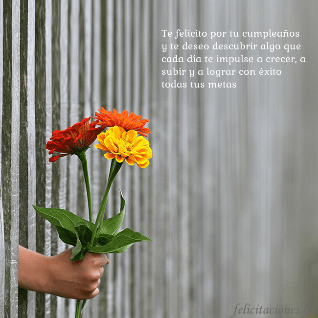 Tarjeta electrónica con ramo de flores Te felicito por tu cumpleaños y te deseo descubrir Tarjeta electrónica con ramo de flores