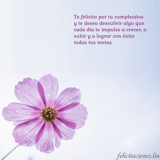 Tarjeta electrónica con flor morada Te felicito por tu cumpleaños y te deseo descubrir Tarjeta electrónica con flor morada