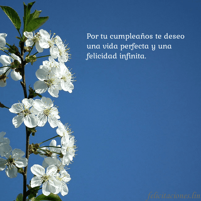 Tarjeta de cumpleaños con flores de primavera