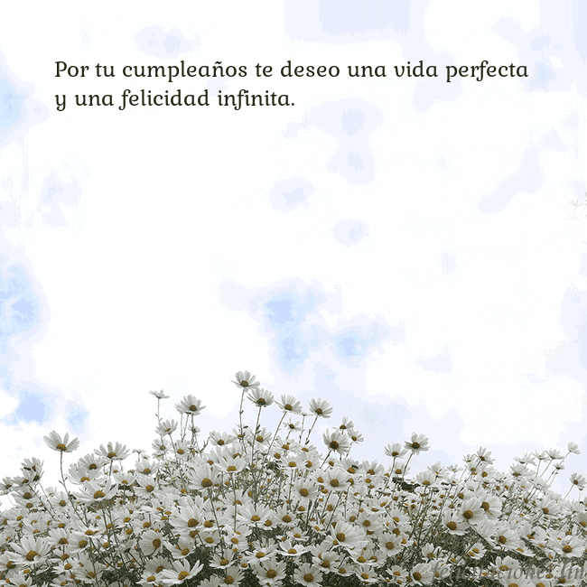 Tarjeta de cumpleaños con margaritas