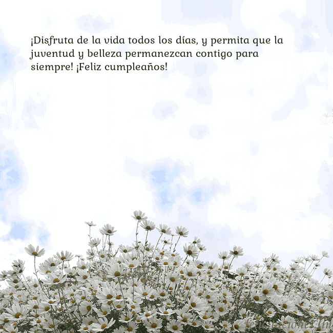 Tarjeta de cumpleaños con margaritas ¡Disfruta de la vida todos los días, y permita que Tarjeta de cumpleaños con margaritas