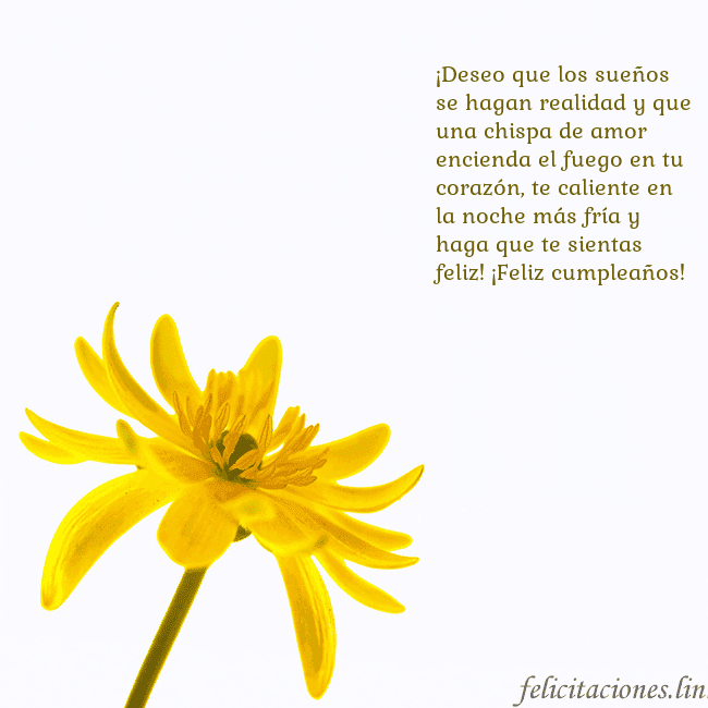 Tarjeta de cumpleaños con flor amarilla ¡Deseo que los sueños se hagan realidad y que una Tarjeta de cumpleaños con flor amarilla