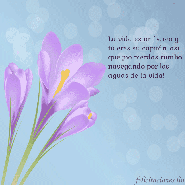 Tarjeta con crocus La vida es un barco y tú eres su capitán, así que Tarjeta con crocus
