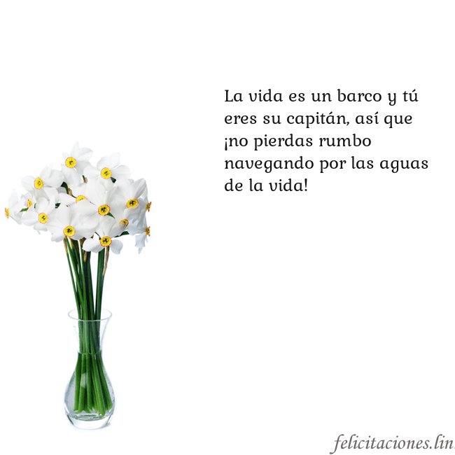 Tarjeta con narcisos