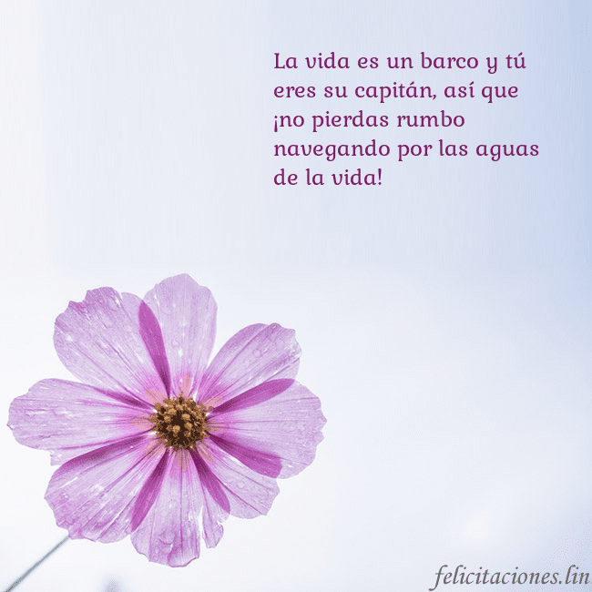 Tarjeta electrónica con flor morada