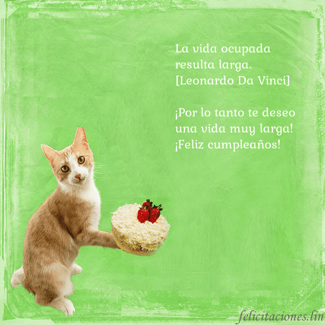 Tarjeta de cumpleaños con gato y pastel de cumpleaños