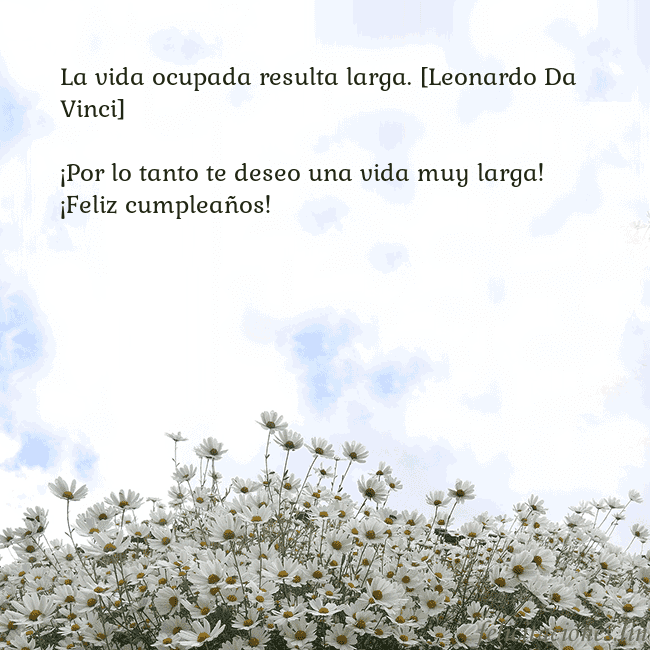 Tarjeta de cumpleaños con margaritas