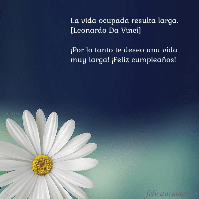 Postal con una gran margarita