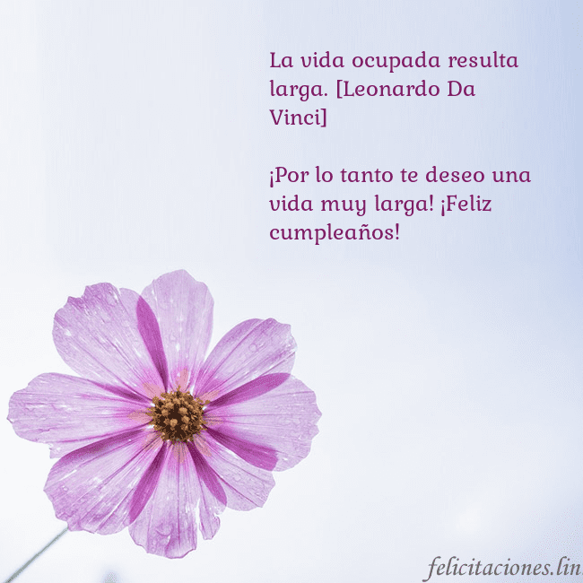 Tarjeta electrónica con flor morada