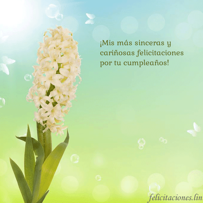 Tarjeta con jacinto