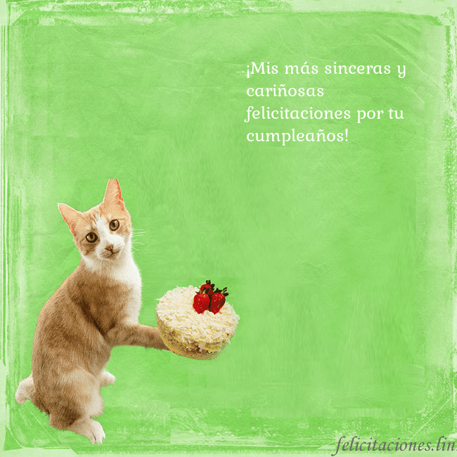Tarjeta de cumpleaños con gato y pastel de cumpleaños