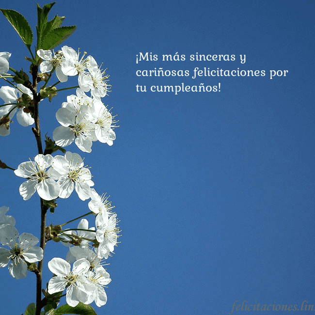 Tarjeta de cumpleaños con flores de primavera