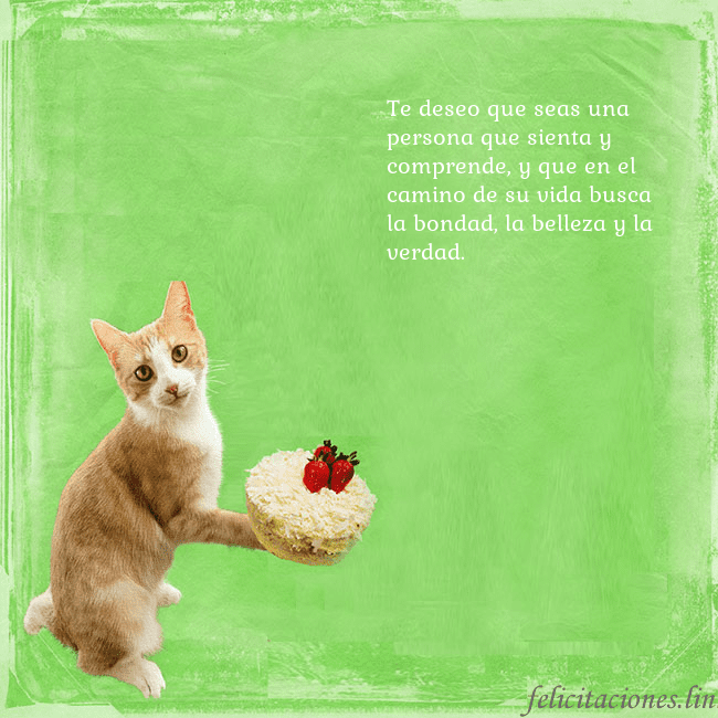 Tarjeta de cumpleaños con gato y pastel de cumpleaños Te deseo que seas una persona que sienta y compren Tarjeta de cumpleaños con gato y pastel de cumpleaños