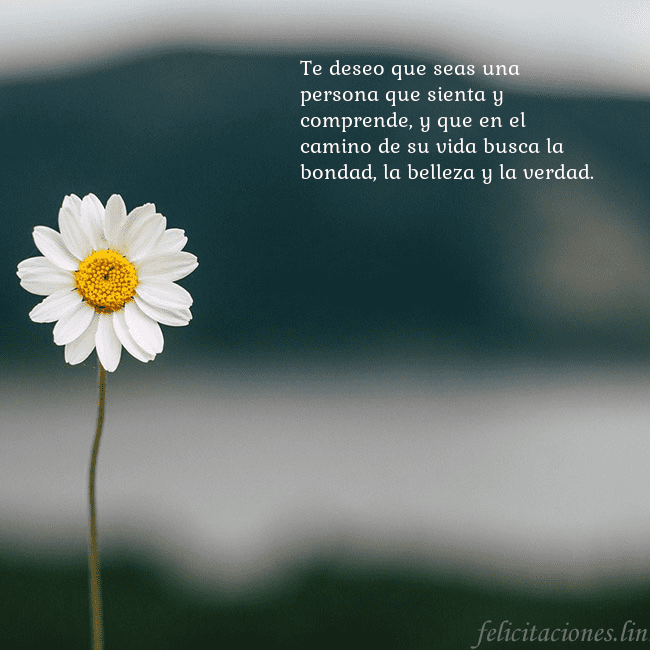 Tarjeta electrónica con margarita Te deseo que seas una persona que sienta y compren Tarjeta electrónica con margarita
