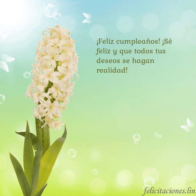 Tarjeta con jacinto
