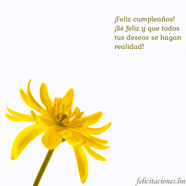 Tarjeta de cumpleaños con flor amarilla