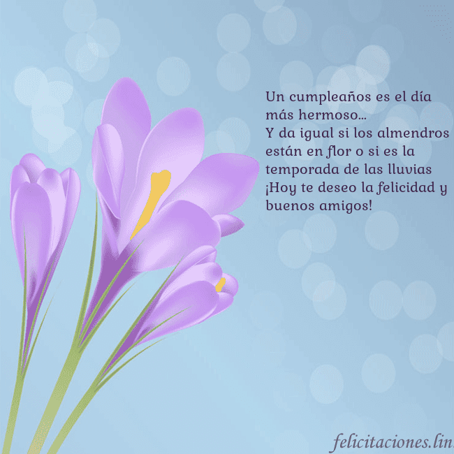 Tarjeta con crocus Un cumpleaños es el día más hermoso...
Y da igual Tarjeta con crocus
