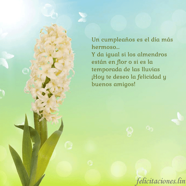 Tarjeta con jacinto Un cumpleaños es el día más hermoso...
Y da igual Tarjeta con jacinto