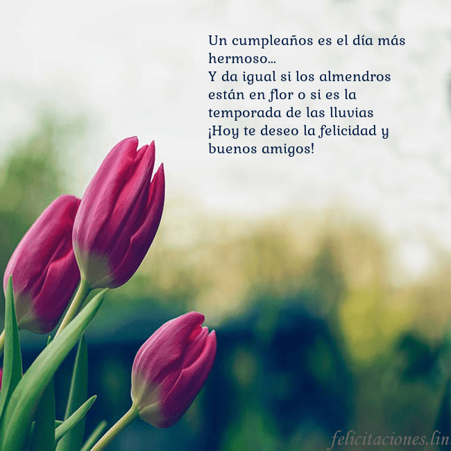 Tarjeta de cumpleaños con tres tulipanes rojos Un cumpleaños es el día más hermoso...
Y da igual Tarjeta de cumpleaños con tres tulipanes rojos