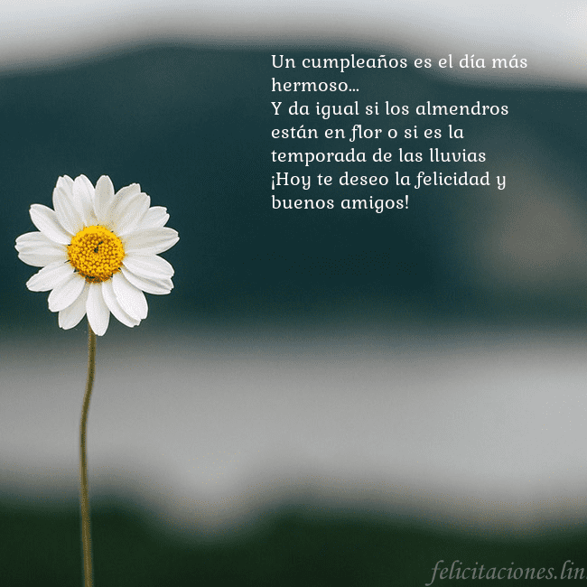 Tarjeta electrónica con margarita Un cumpleaños es el día más hermoso...
Y da igual Tarjeta electrónica con margarita